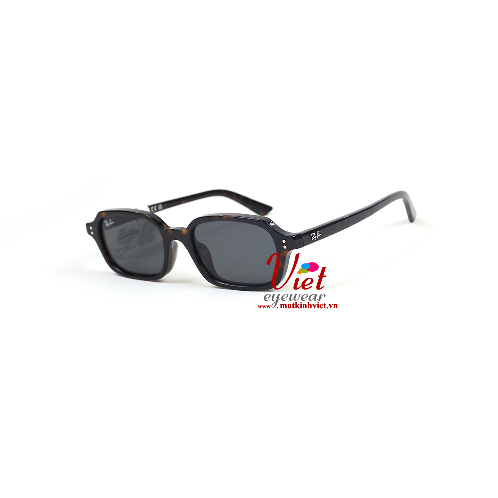 Kính mát RayBan RB4455F 1359/87